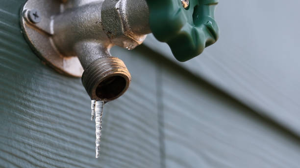 Best Affordable Plumbing Services  in Watsontown, PA